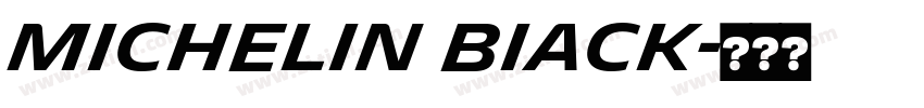 Michelin BIack字体转换